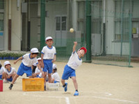 pict-DSC04651