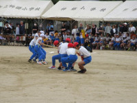 pict-IMG_0183