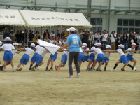 pict-IMG_0238