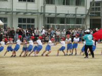 pict-IMG_0245