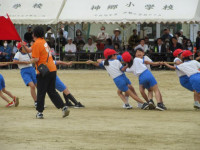 pict-IMG_0266