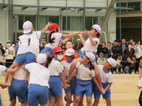 pict-IMG_0371