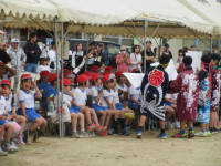 pict-IMG_0399