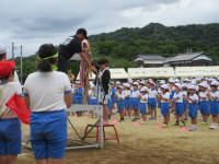 pict-IMG_0450