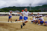 pict-DSC09392