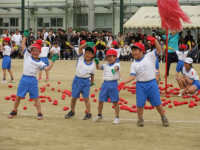pict-IMG_0321