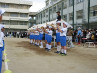 pict-IMG_0105