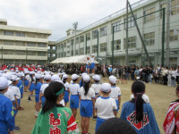 pict-IMG_0567