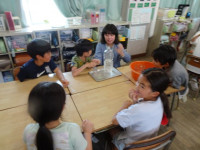 pict-DSC05068