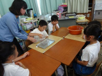 pict-DSC05069