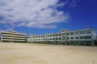 pict-DSC05339