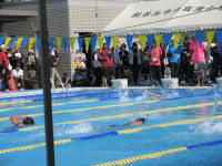 pict-IMG_0225
