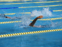 pict-IMG_0250