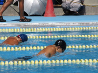 pict-IMG_0336