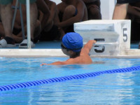 pict-IMG_0378