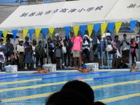 pict-IMG_0381