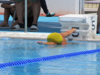 pict-IMG_0399