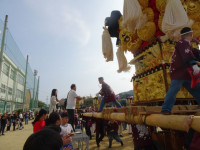 pict-DSC06584