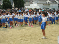 pict-IMG_0181