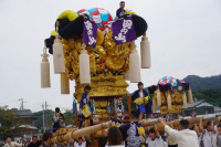 pict-DSC06629