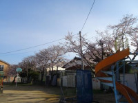 pict-DSC09995
