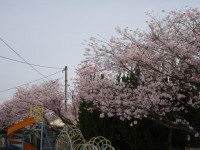 pict-DSC09999