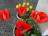 pict-DSC00001