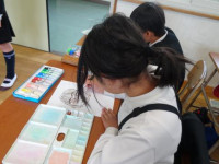 pict-DSC00343
