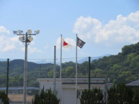 pict-IMG_0229
