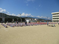 pict-IMG_0203