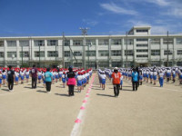 pict-IMG_0210