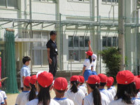pict-IMG_0216