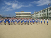 pict-IMG_0224