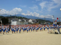 pict-IMG_0237