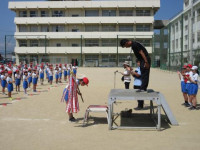 pict-IMG_0240