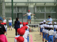 pict-IMG_0250