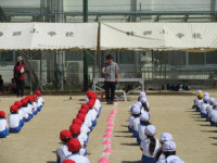 pict-IMG_0288