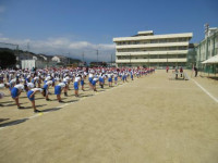 pict-IMG_0305