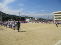 pict-IMG_0309