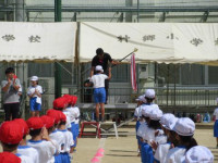 pict-IMG_0322