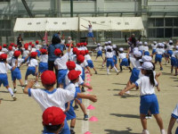 pict-IMG_0352