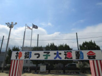 pict-IMG_0358