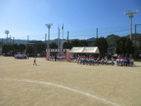 pict-IMG_0385