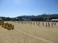 pict-IMG_0398