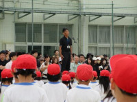 pict-3