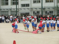 pict-11