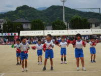 pict-13
