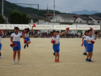pict-15