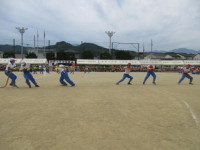 pict-22