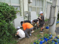 pict-IMG_0727